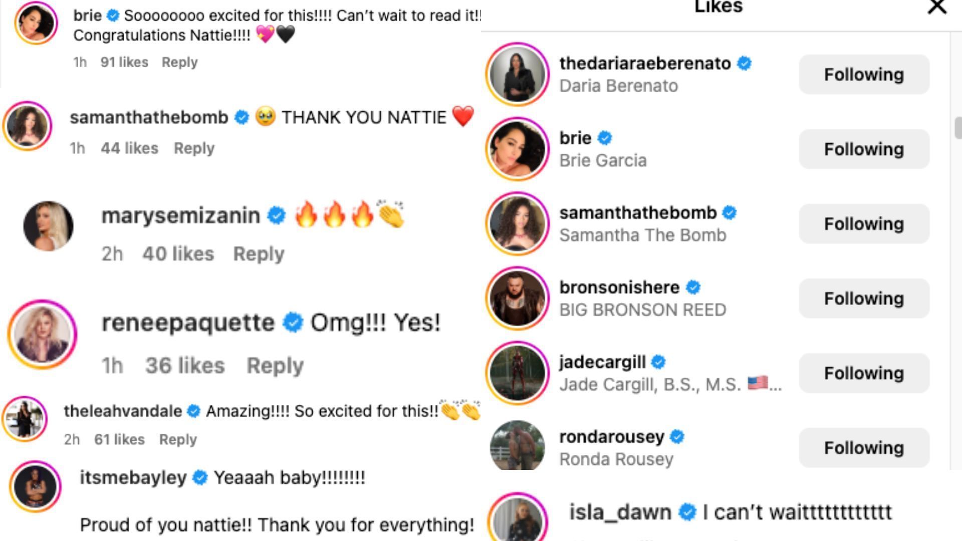 Several stars reacted to the veteran&#039;s announcement on social media [Image credit: Natalya on Instagram]