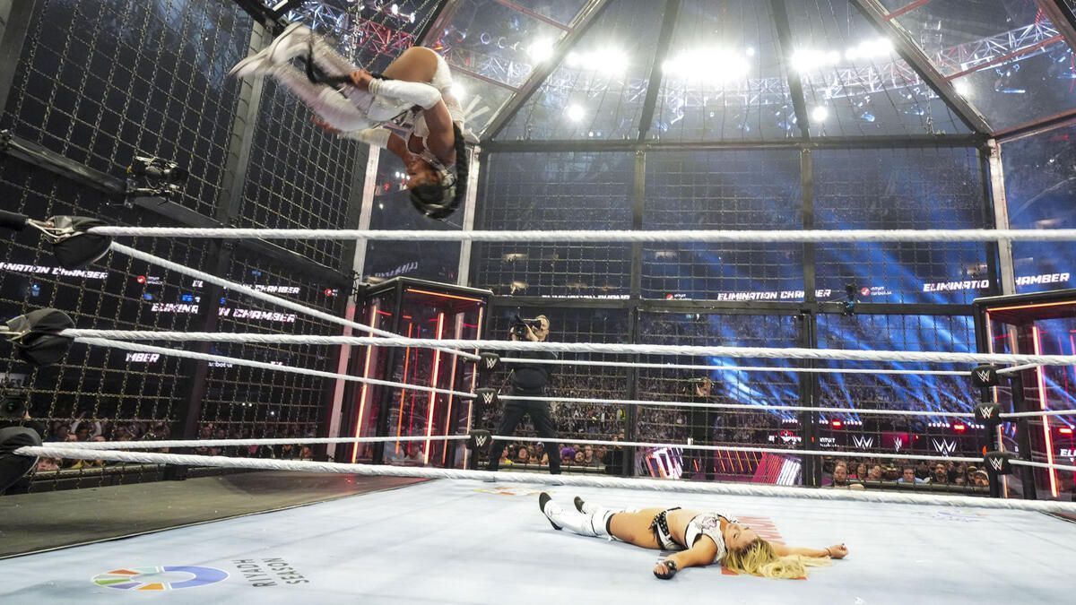 WWE Elimination Chamber 2025 में काफी नुकसान हुआ (Photo: WWE.com)