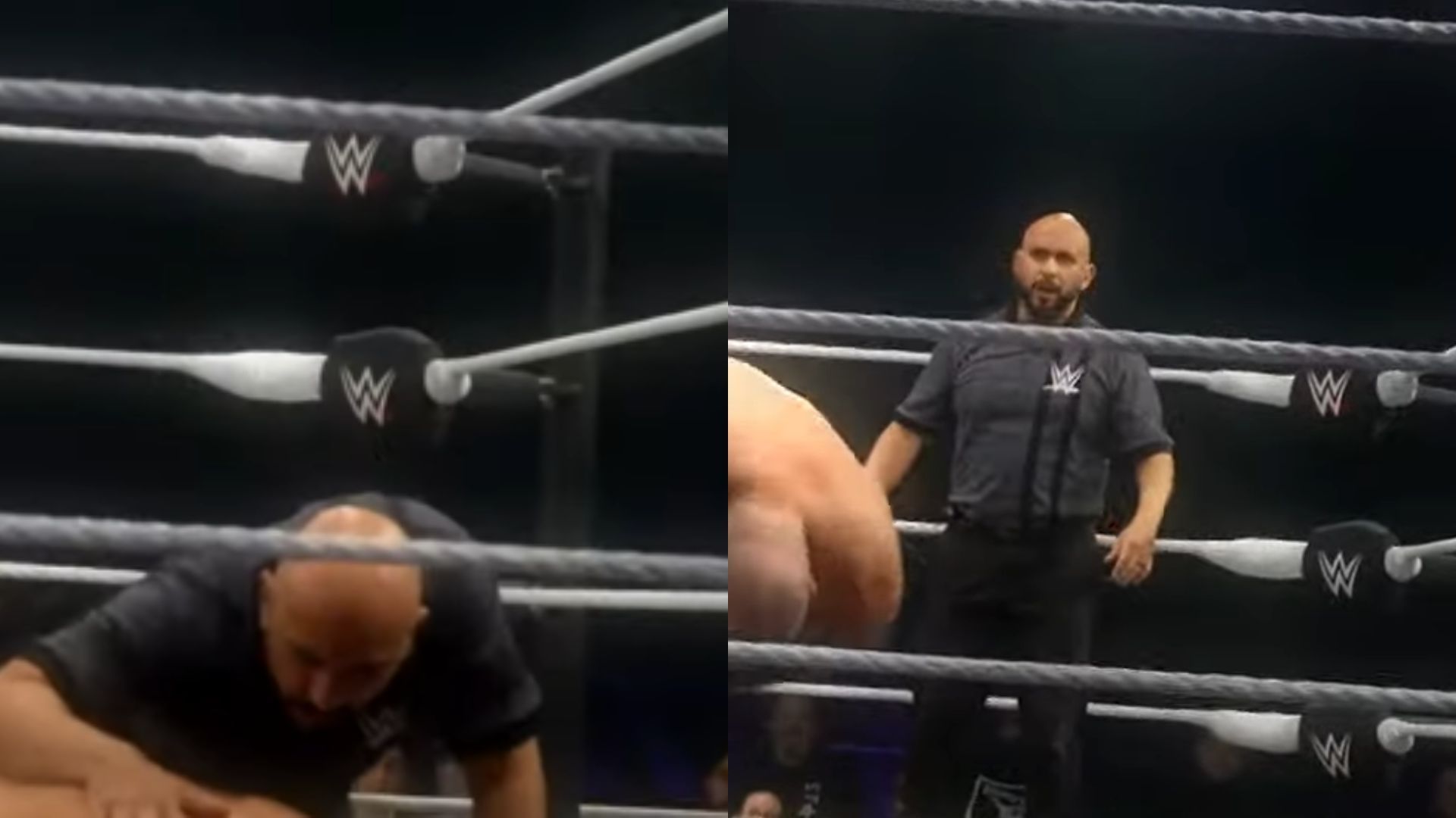 The star was knocked out (Credit: WWE