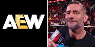 Current WWE star's AEW past gets brought up on TV; CM Punk referenced
