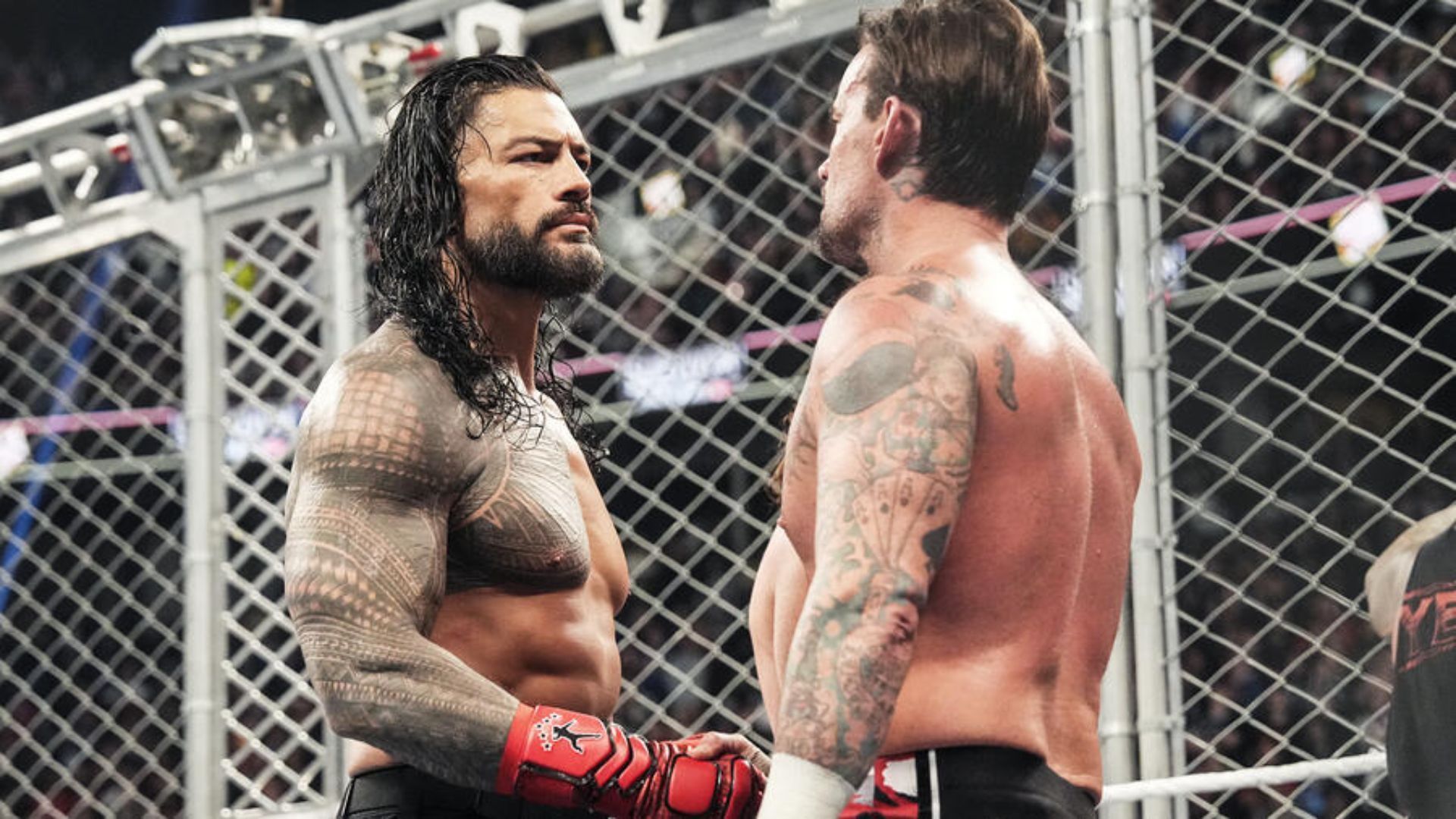 CM Punk and Roman Reigns at Survivor Series in November 2024 [WWE/Courtesy]