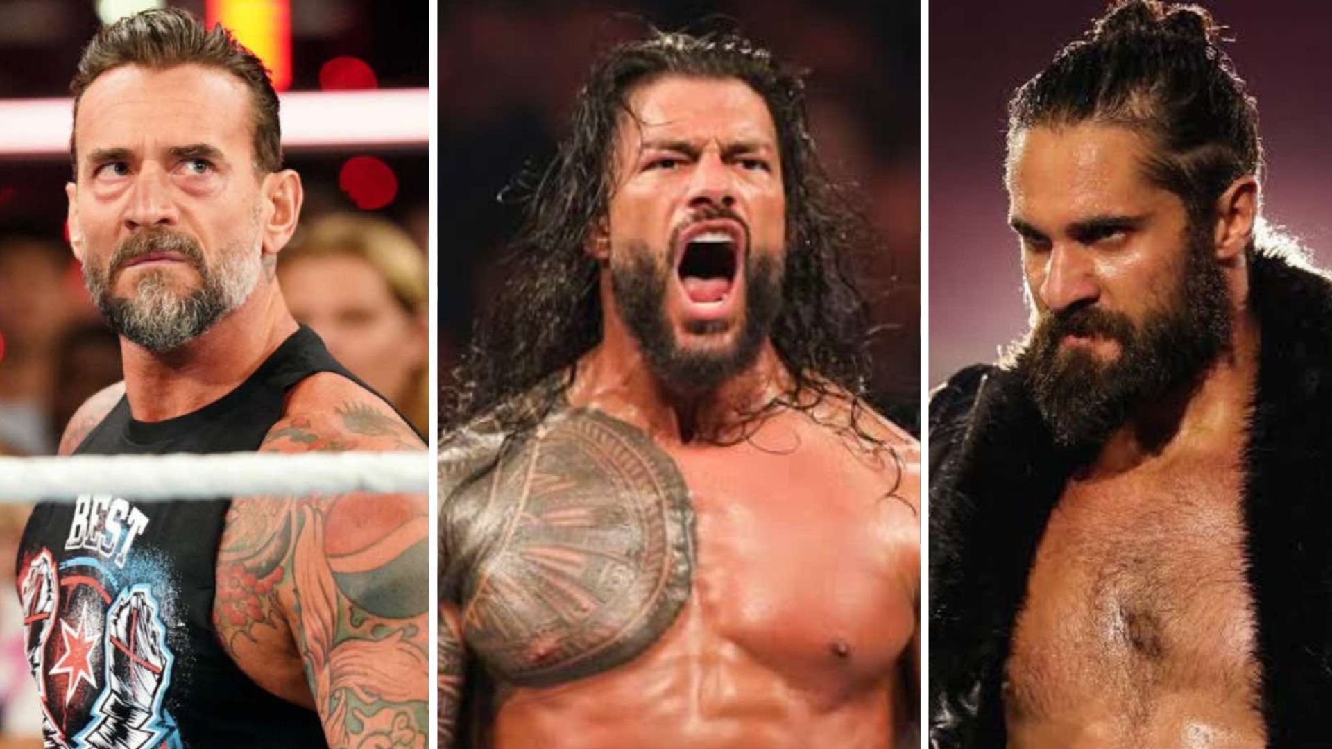 CM Punk (left), Roman Reigns (middle), Seth Rollins (right) [Image credits: wwe.com]