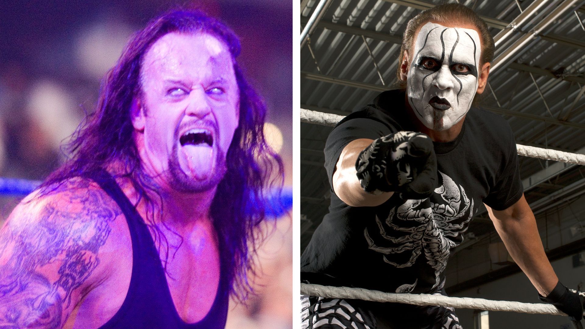 The Undertaker and Sting could have been an incredible match at WWE WrestleMania [Credit: WWE.com]