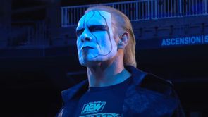 Huge update on Sting potentially attending WWE Hall of Fame 2025 - Reports