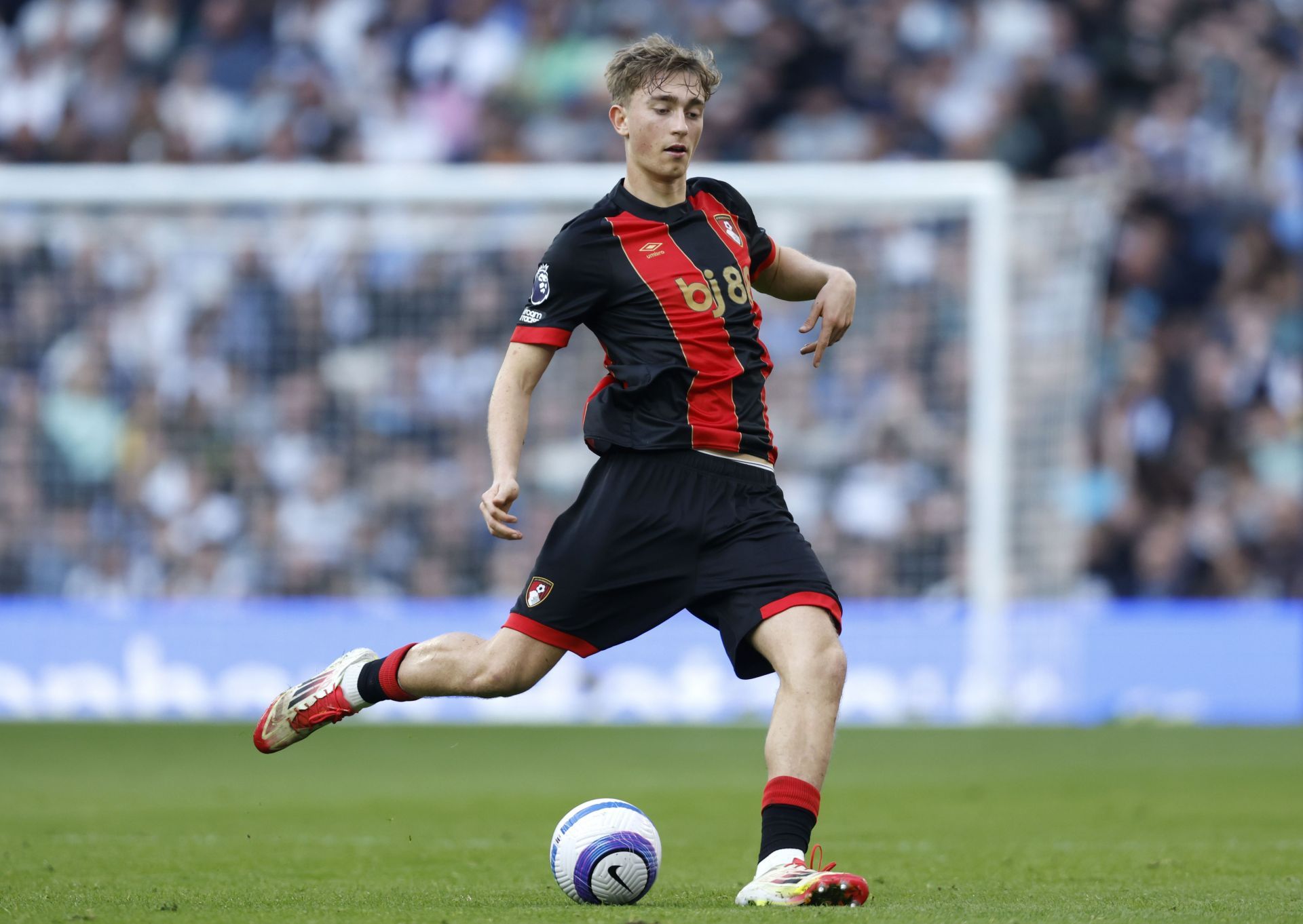 Tottenham Hotspur FC v AFC Bournemouth - Premier League - Source: Getty