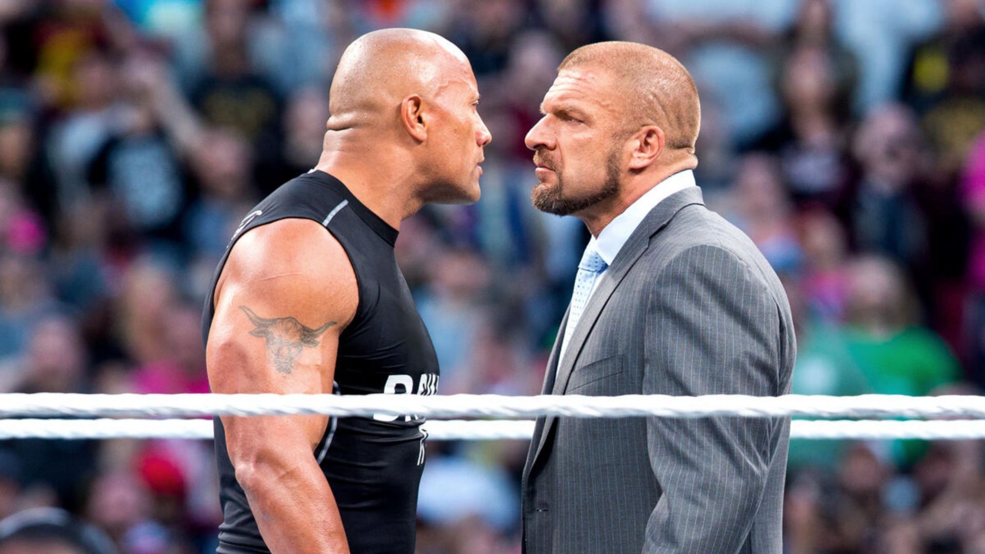 The Rock face-to-face with Triple H (Image credit: WWE.com)