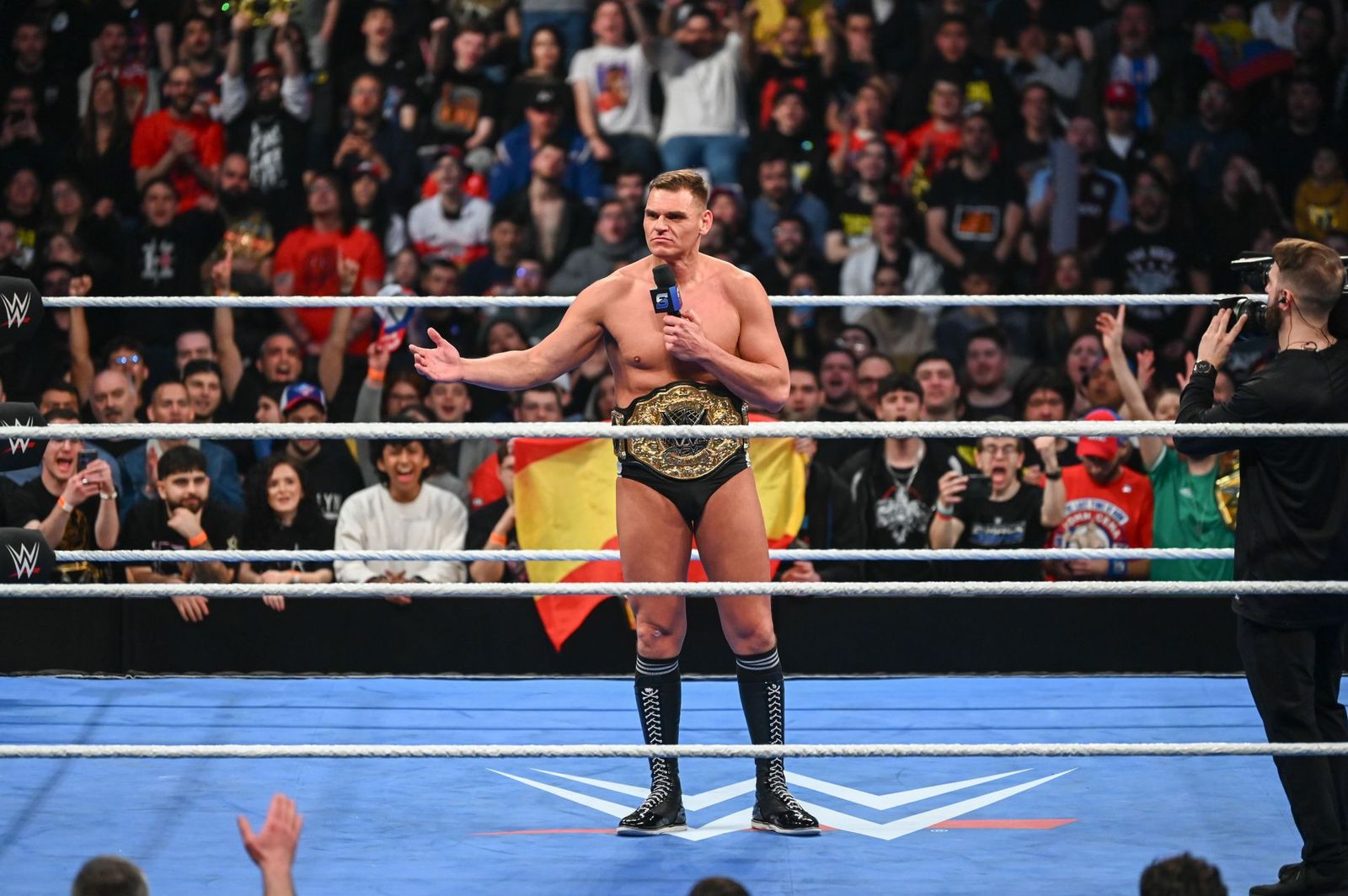 Gunther (wrestler) visual data 5