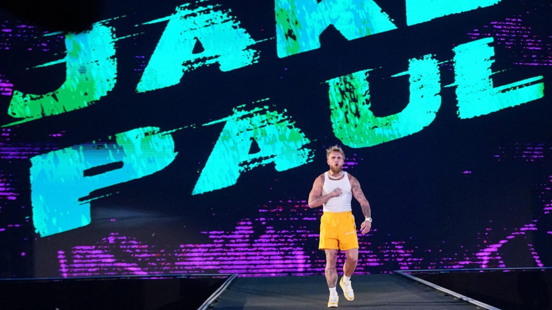 Jake Paul is the brother of WWE Superstar Logan Paul. (Photo: WWE.com)