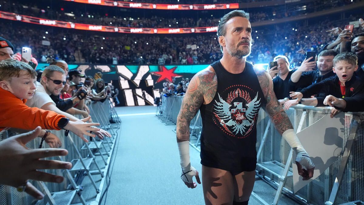 CM Punk [Image credit: wwe.com]