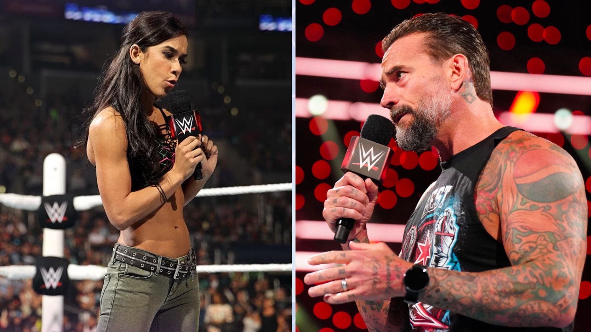 AJ Lee could potentially return to WWE or professional wrestling [Credit: WWE.com]