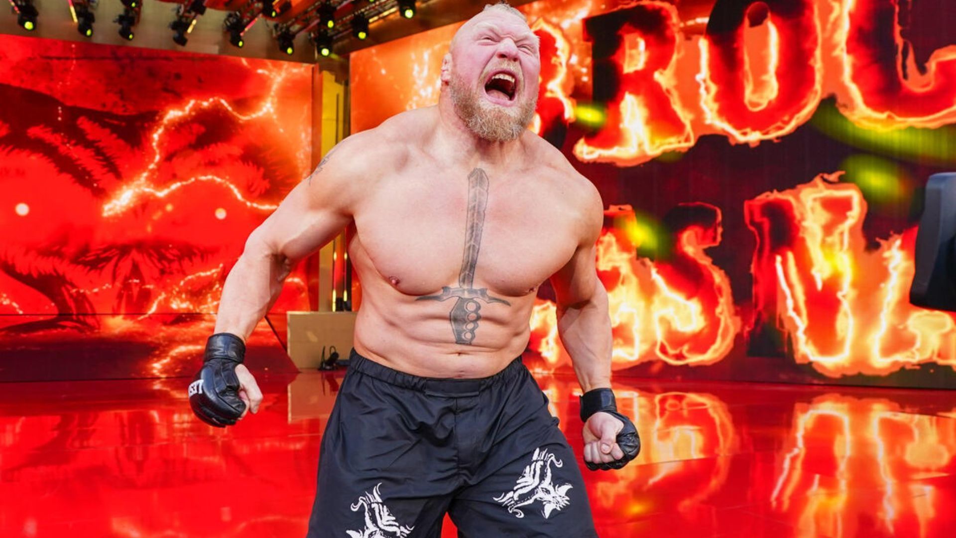 Brock Lesnar (Image via WWE.com)