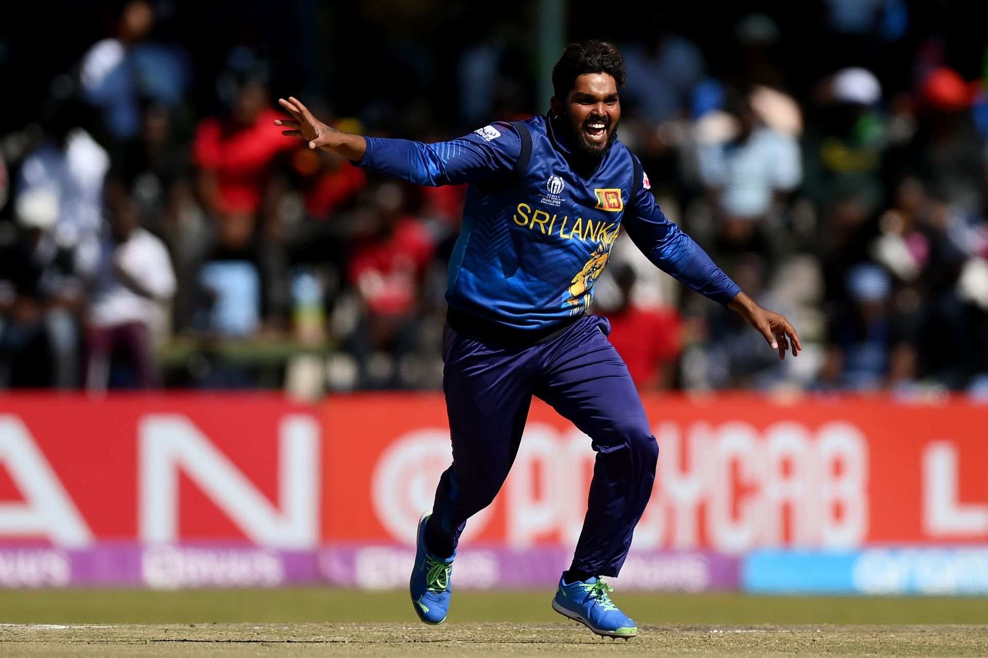 Sri Lanka v Netherlands: Final - ICC Men&acute;s Cricket World Cup Qualifier Zimbabwe 2023 - Source: Getty