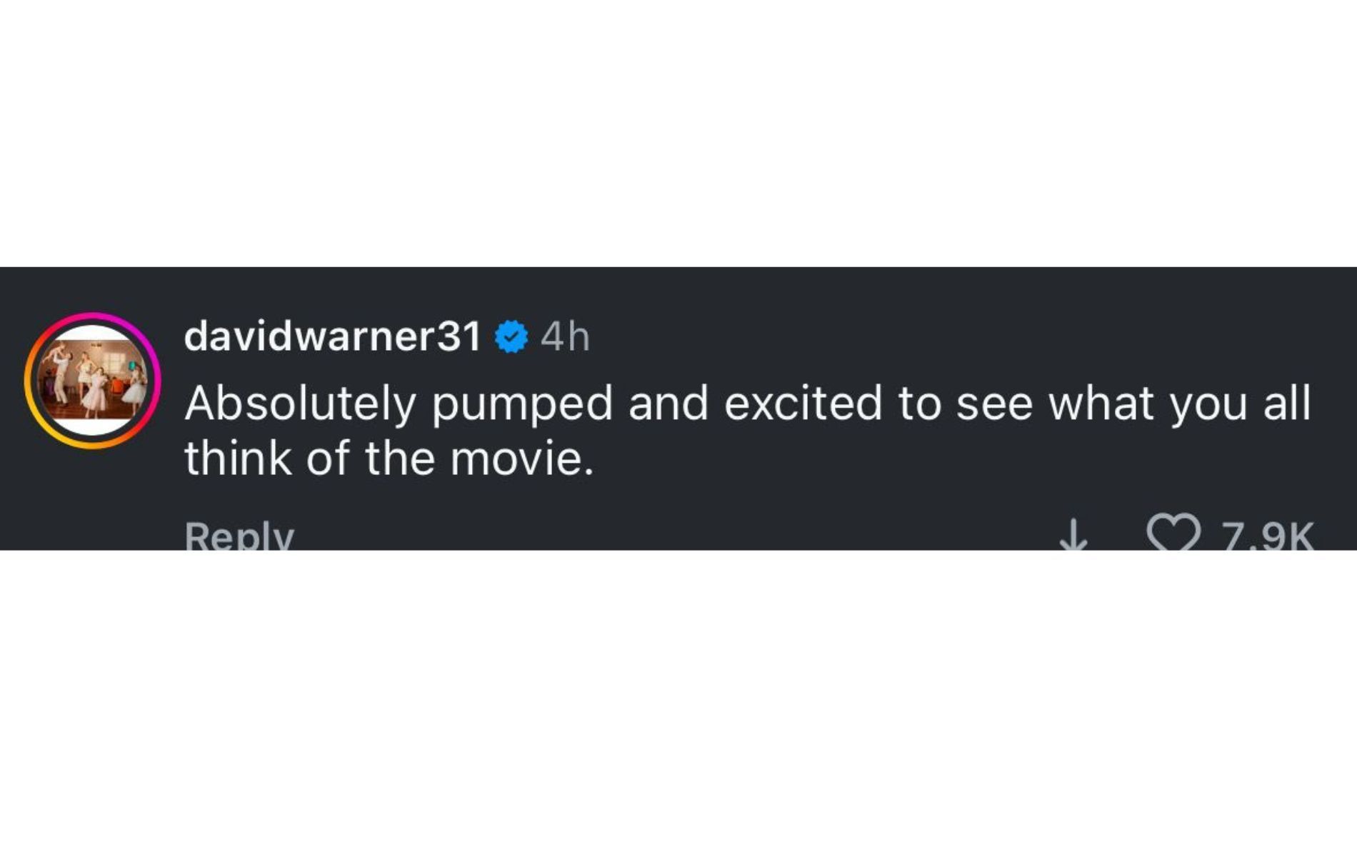 Screenshot of David Warner&#039;s comment. (Image Source: Instagram)