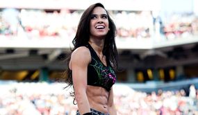 WWE omits CM Punk's wife AJ Lee in a major update