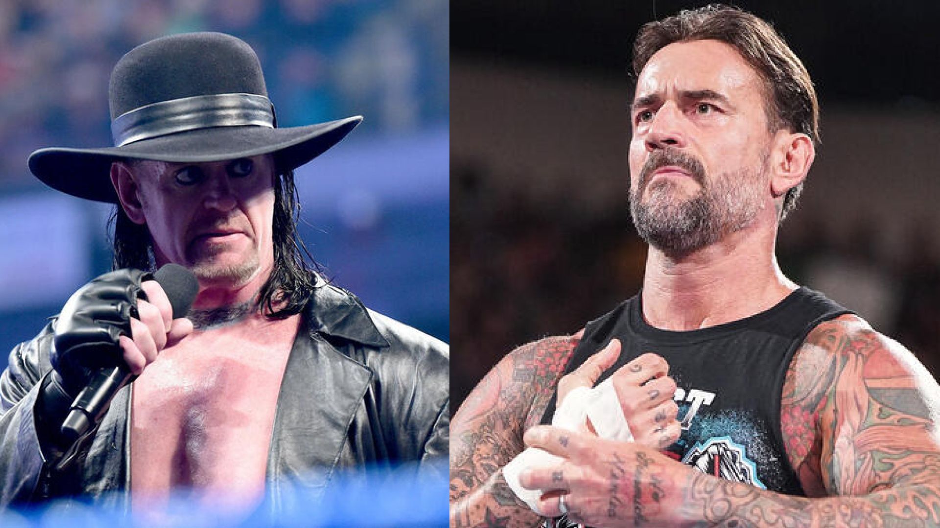 The Undertaker and CM Punk