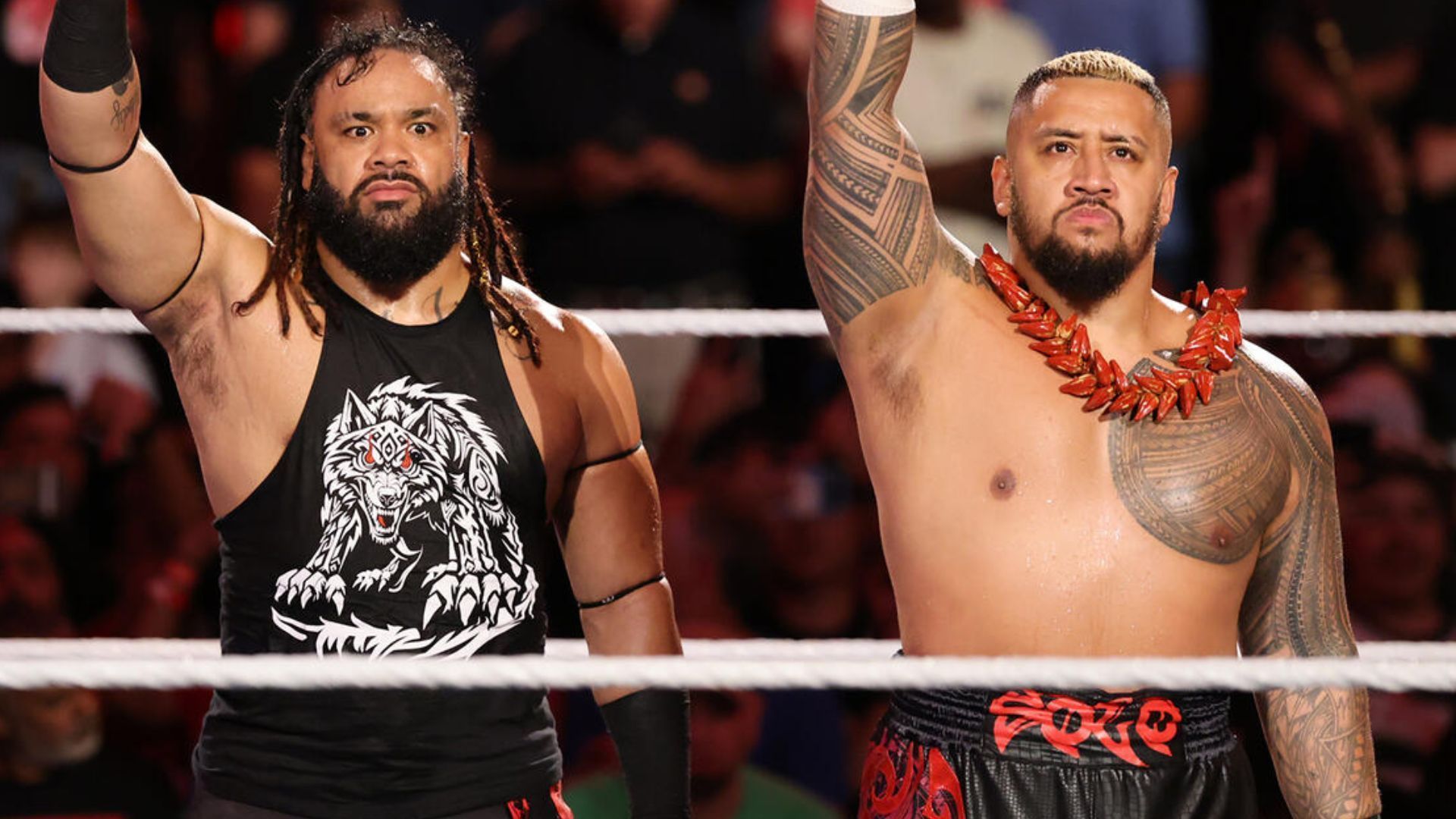 Solo Sikoa could betray Jacob Fatu soon [Image credits: WWE.com]