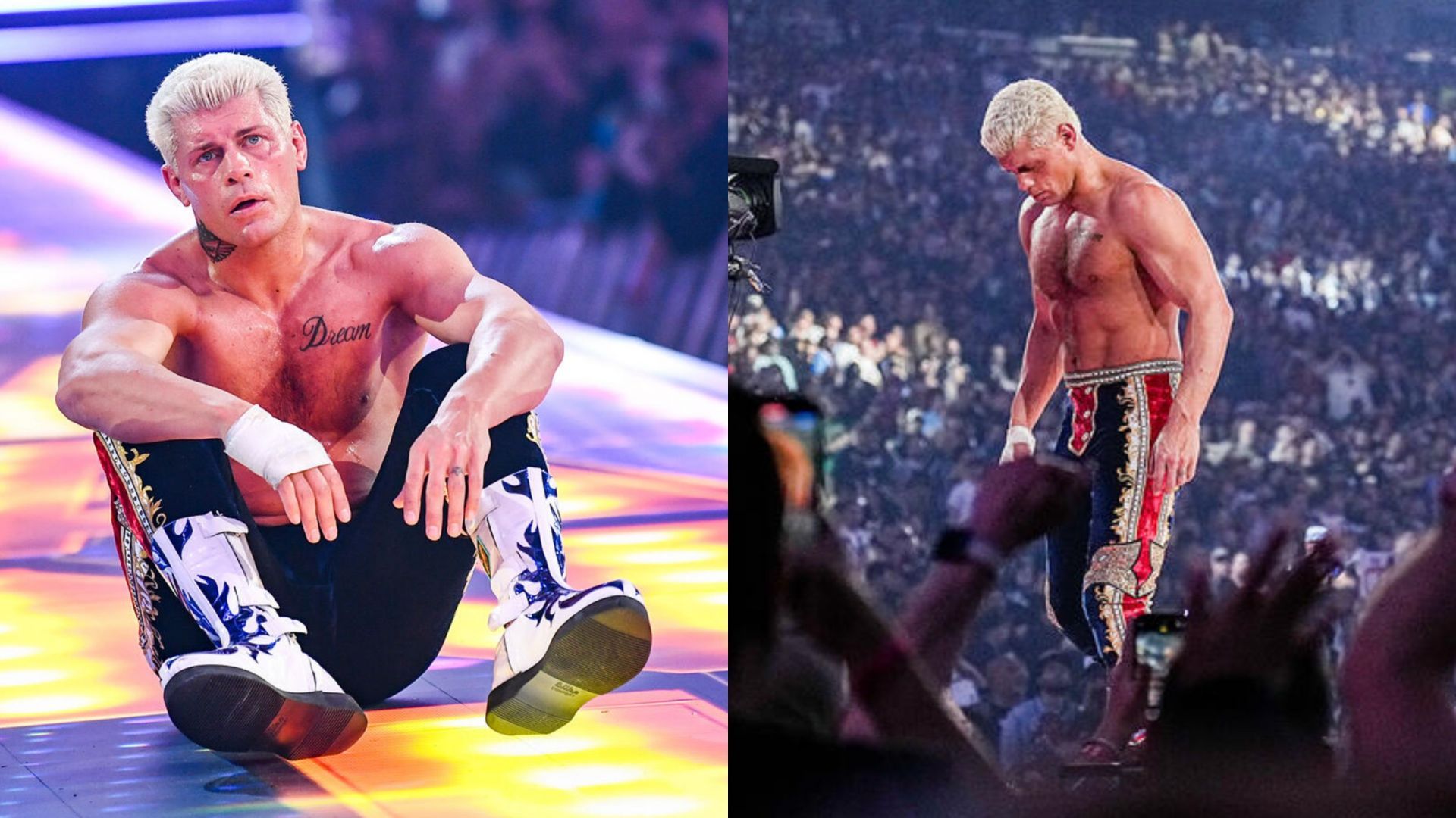Cody Rhodes (Images credit: WWE.com)