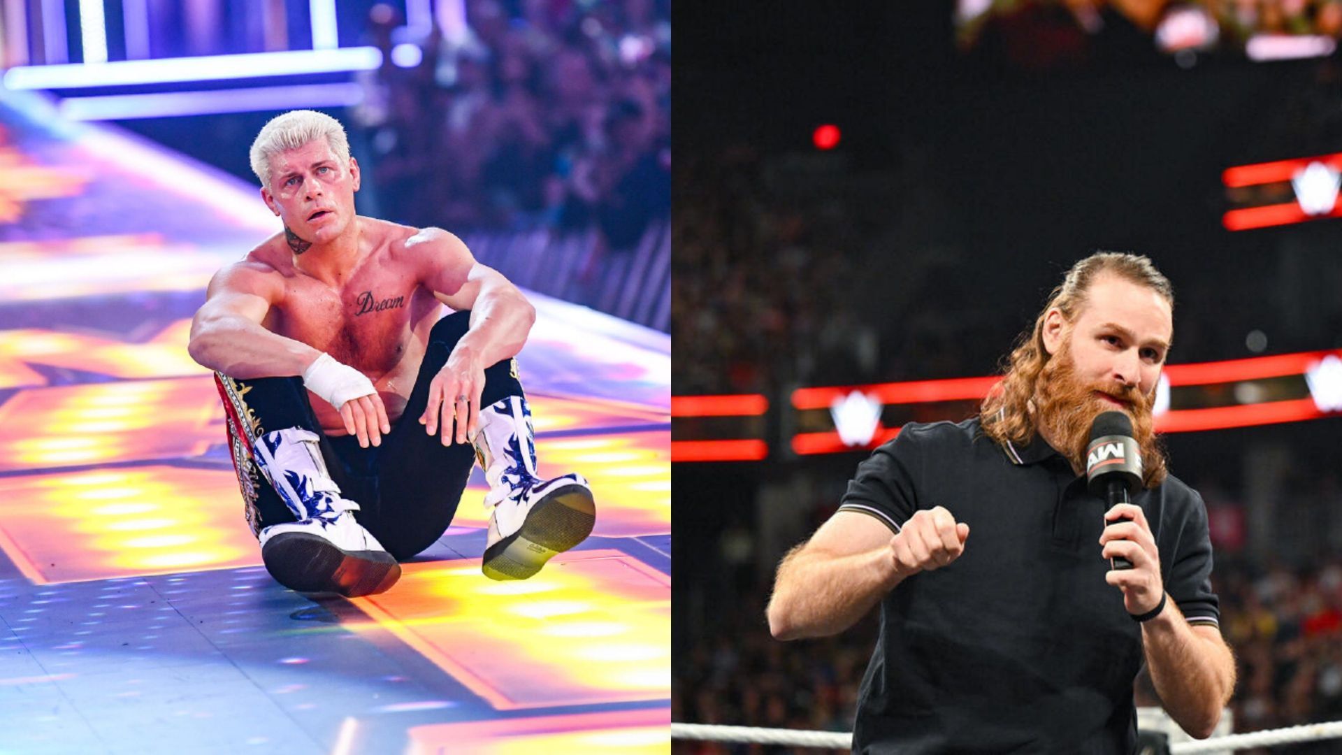 Sami Zayn, Cody Rhodes, WWE