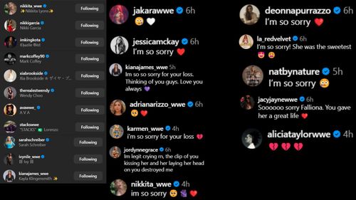 Screenshots of stars' likes and comments [Screenshots from Henley's Instagram post]