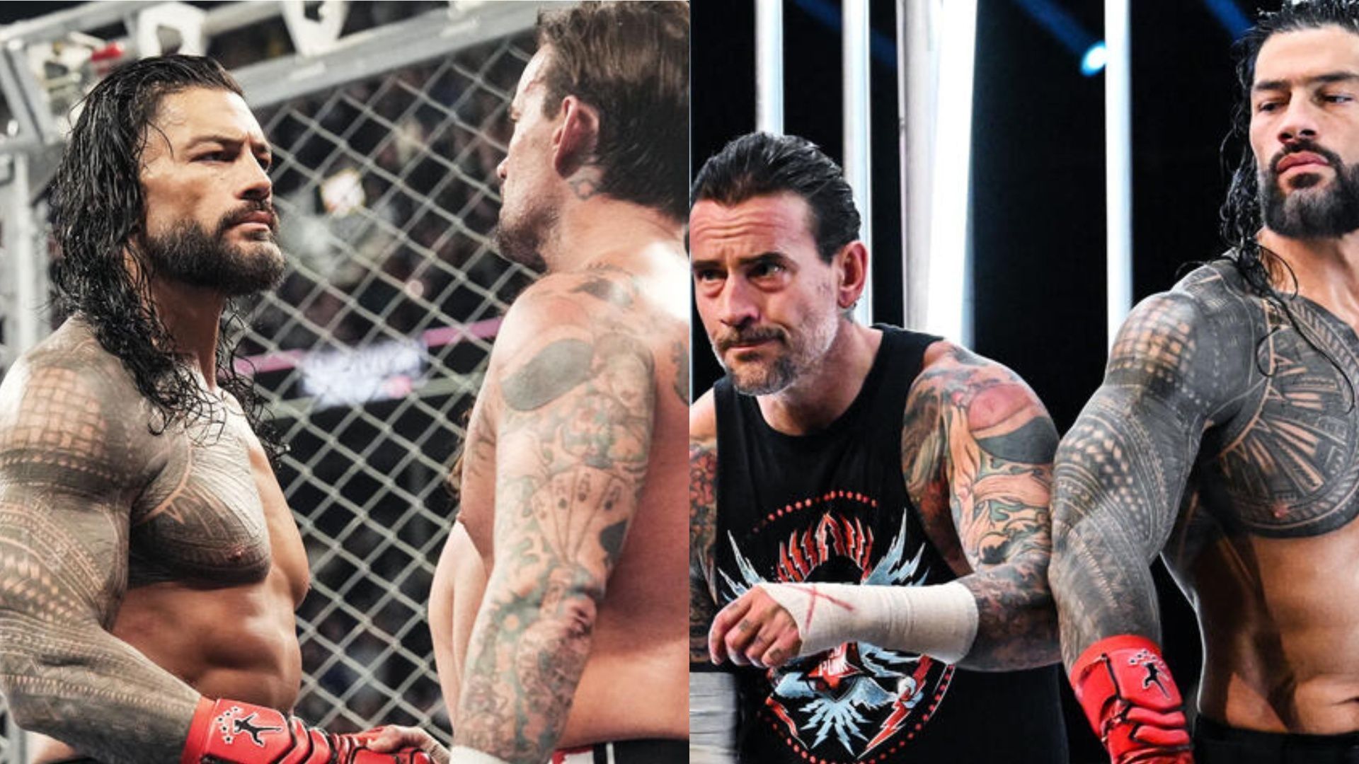 CM Punk and Roman Reigns to be in a dream faction! [Image Credits: WWE]