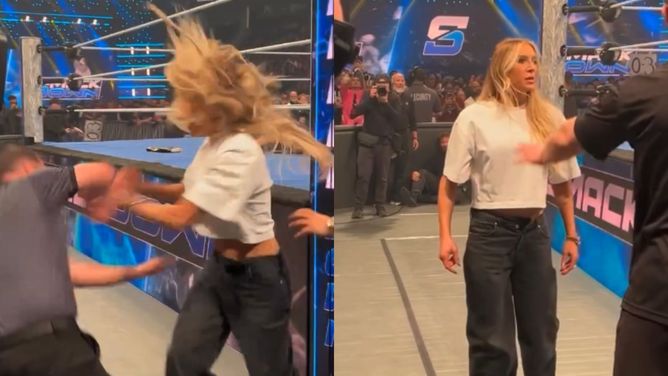 Charlotte Flair loses it and starts shouting at referee for grabbing her