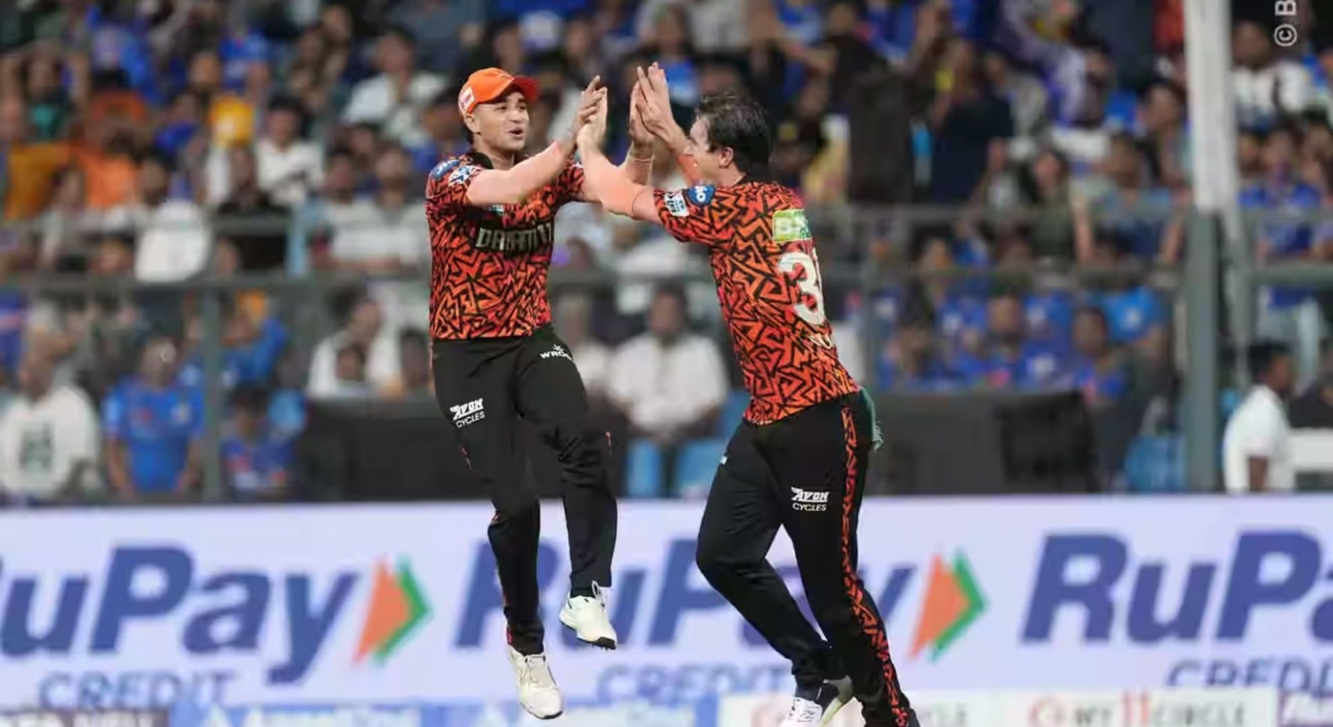 IPL