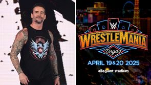 WWE's massive plans for CM Punk at WrestleMania 41 may have already been spoiled