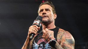 Woman who was attacked online for "groping" WWE star CM Punk finally breaks silence