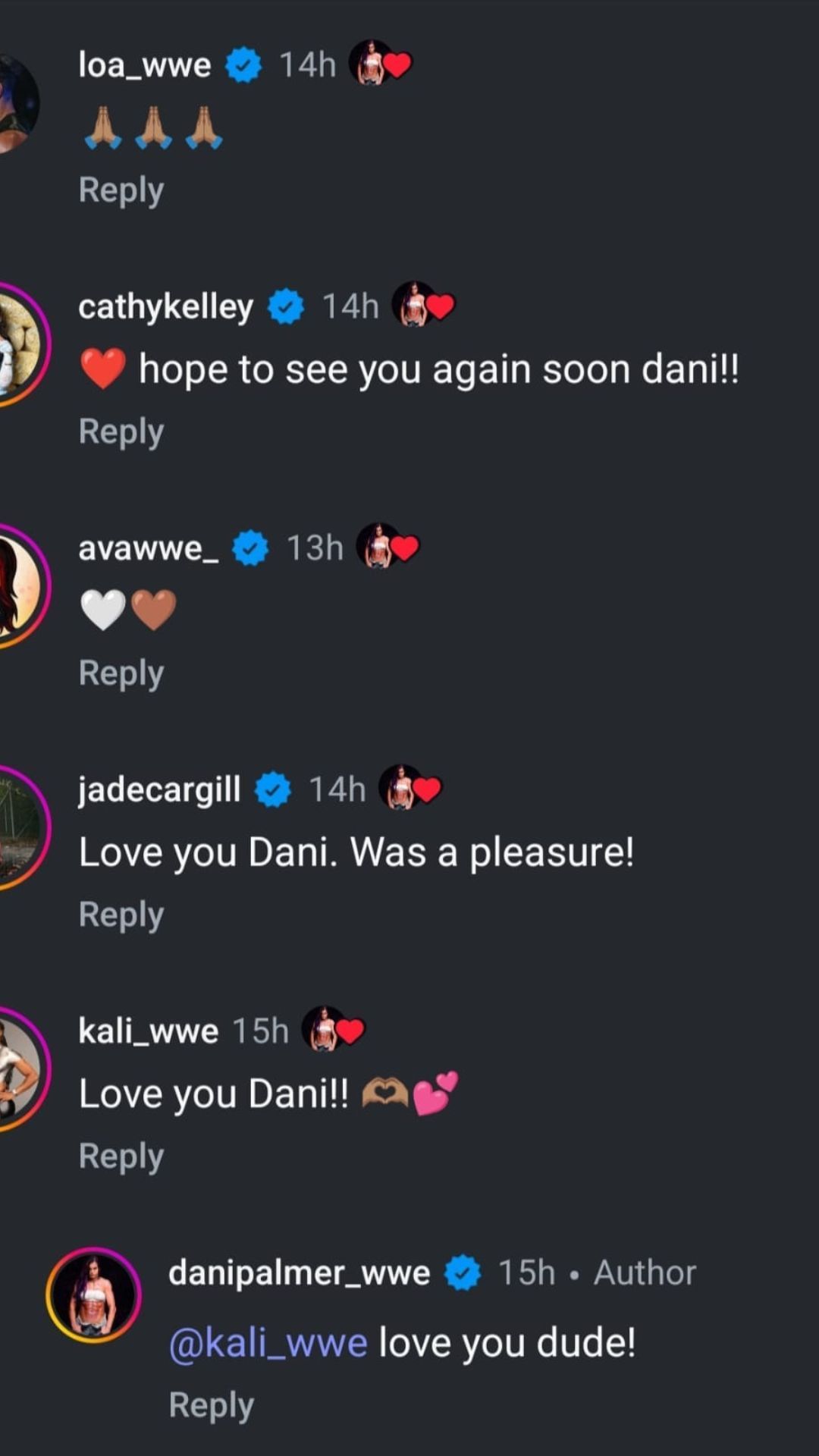 Screengrab of the comments section. [Source: Dani Palmer&#039;s IG]