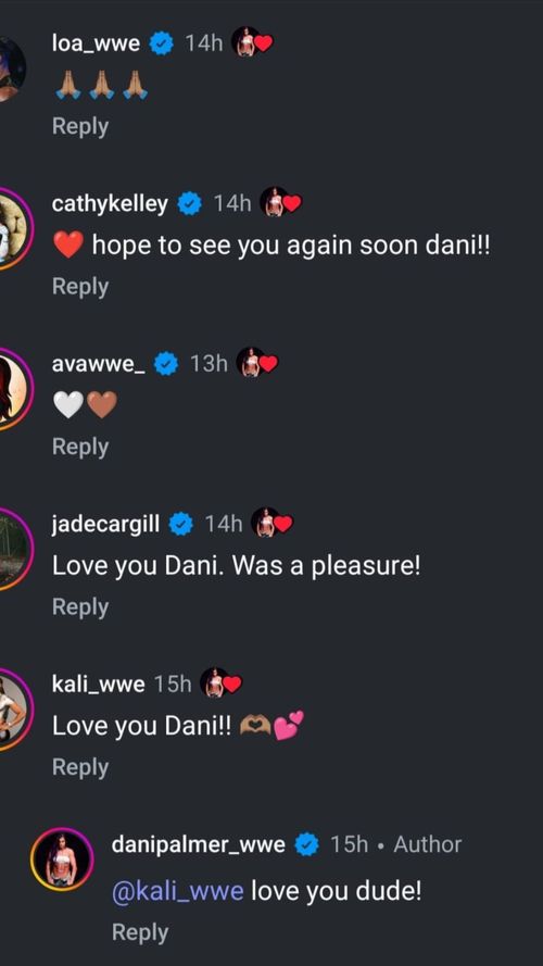 Screengrab of the comments section. [Source: Dani Palmer's IG]