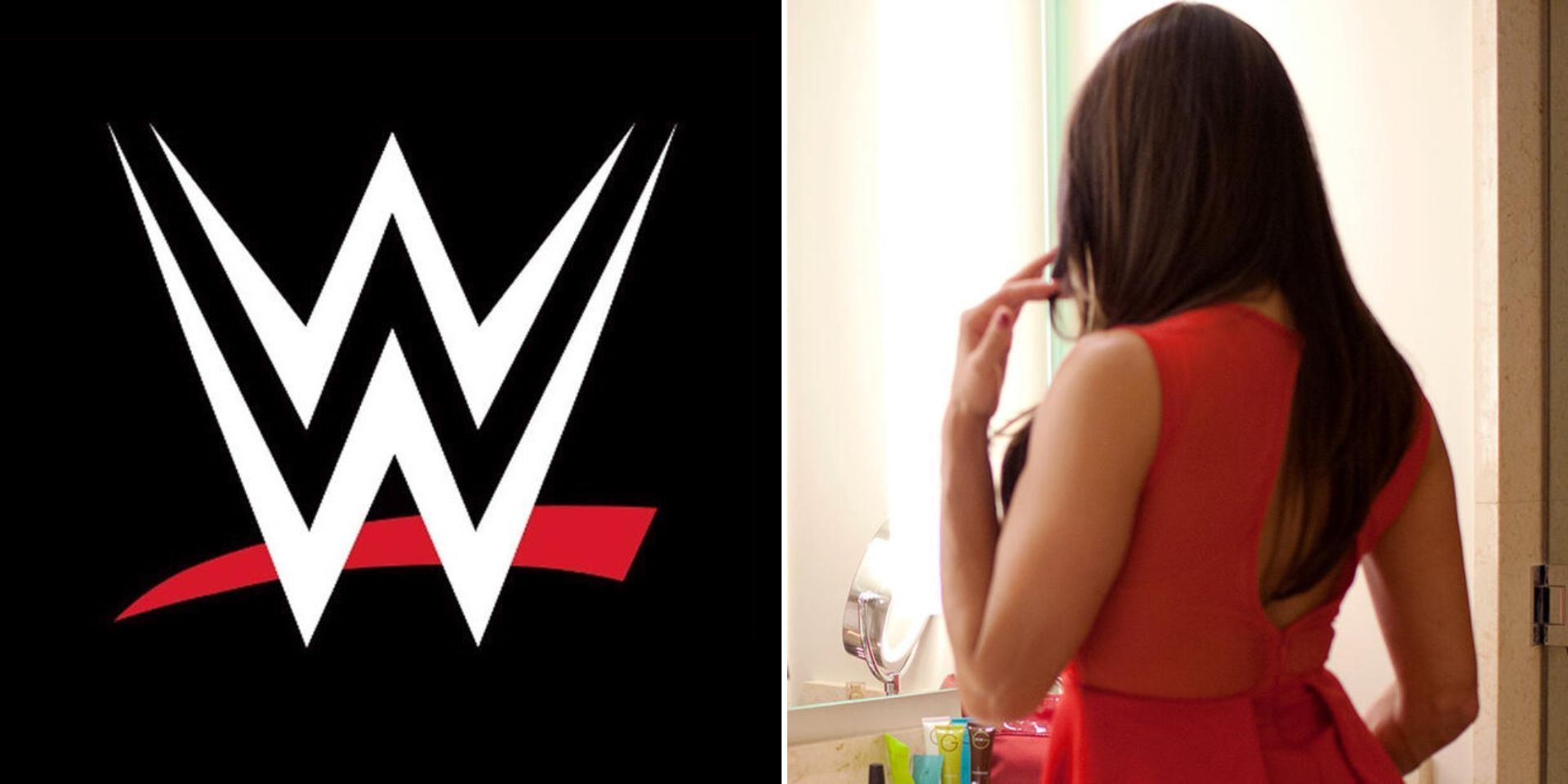 Nikki Bella is a former Divas Champion (Image via WWE.com)