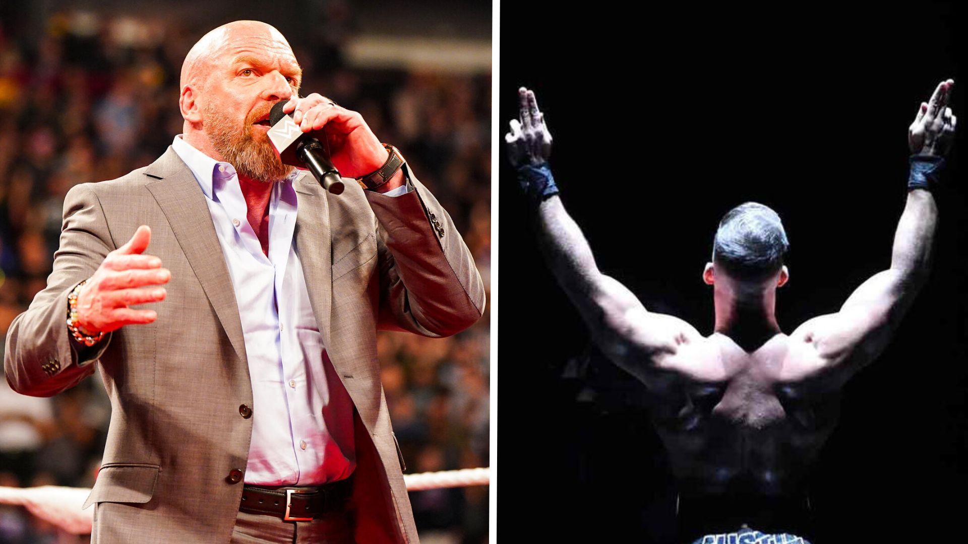 Triple H is WWE