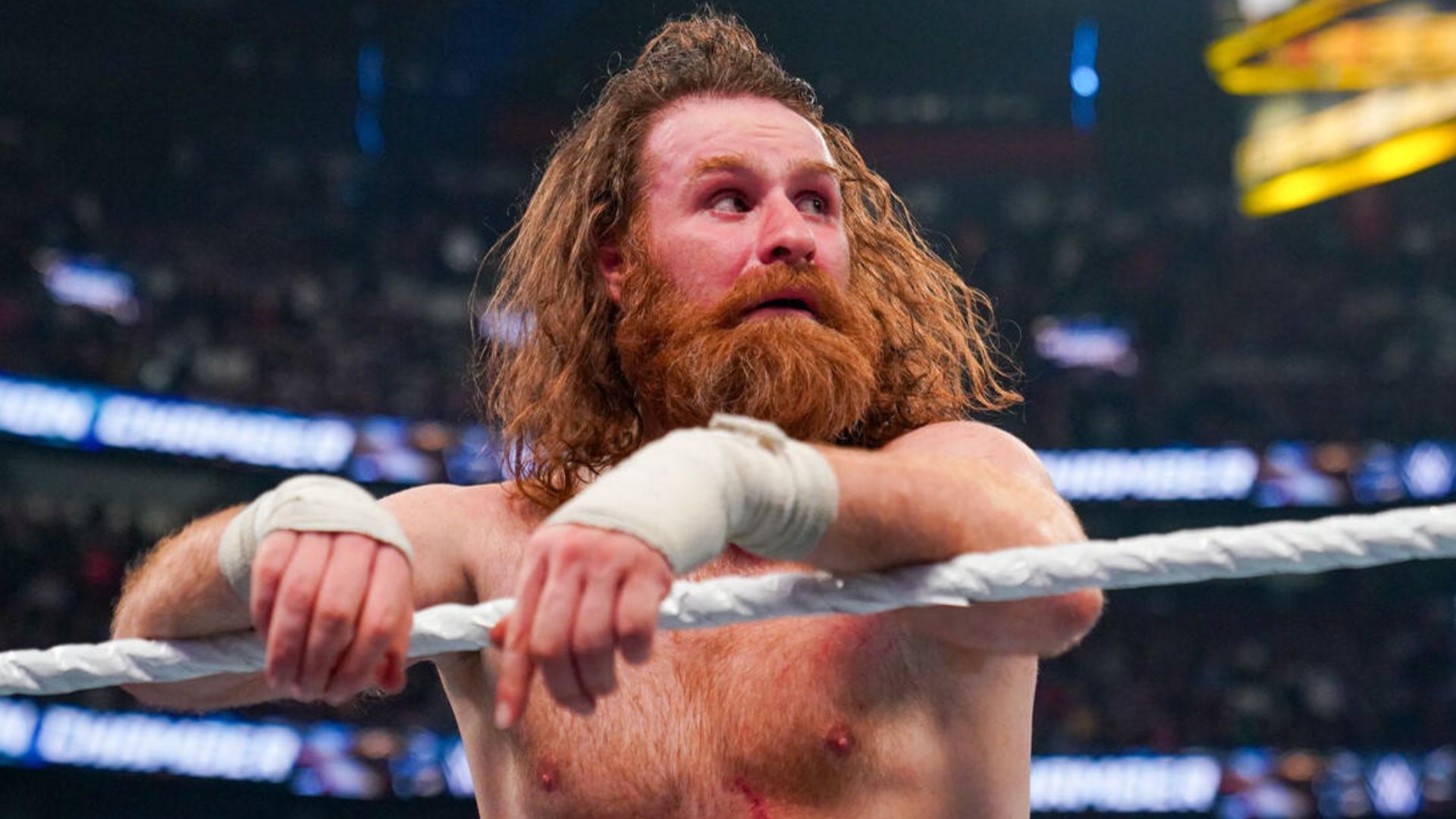 Zayn will be competing in a massive tag team match at SNME on May 24. [Image credit: WWE.com]