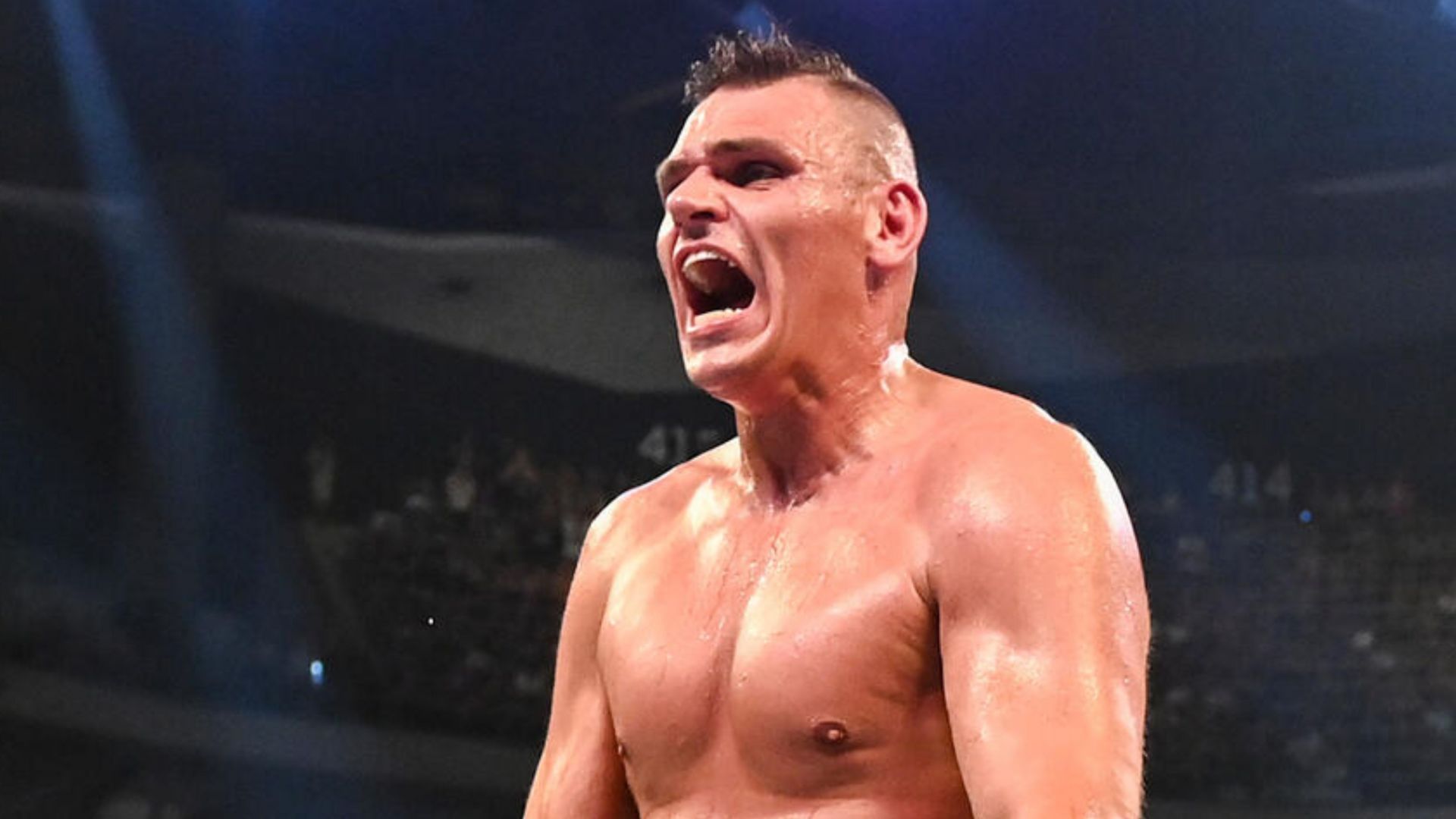 Gunther (Image credit: WWE.com)