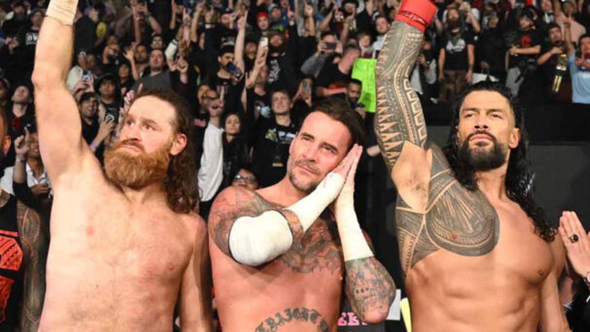 Sami Zayn, CM Punk and Roman Reigns (Image credits: wwe.com) 