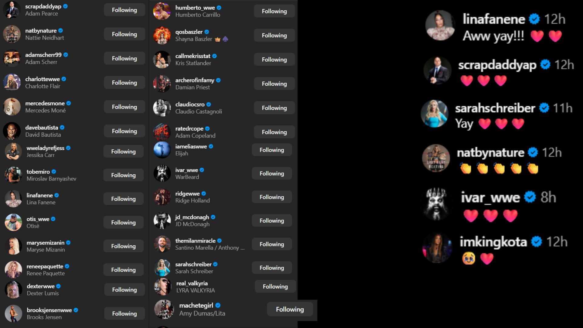 Screenshots of stars&#039; likes and comments [Image credit: Sheamus&#039; Instagram handle]