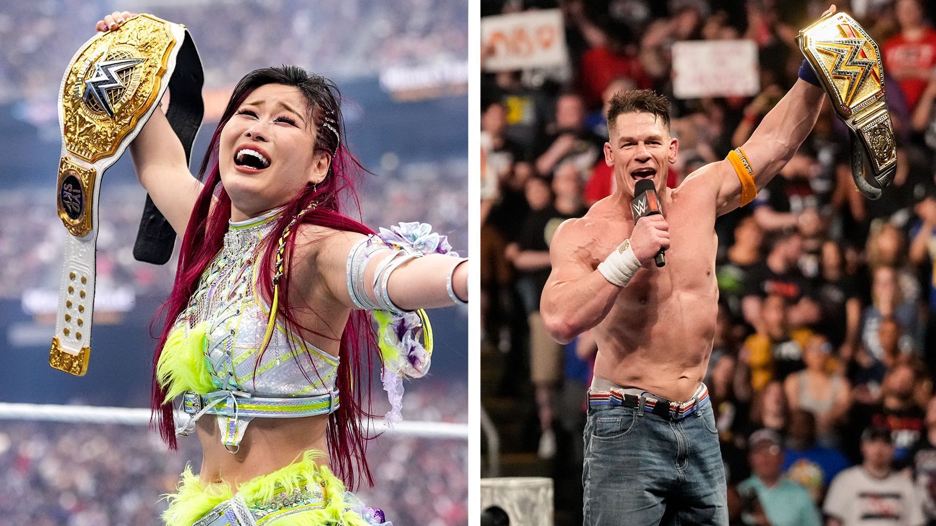 Some WWE champions won