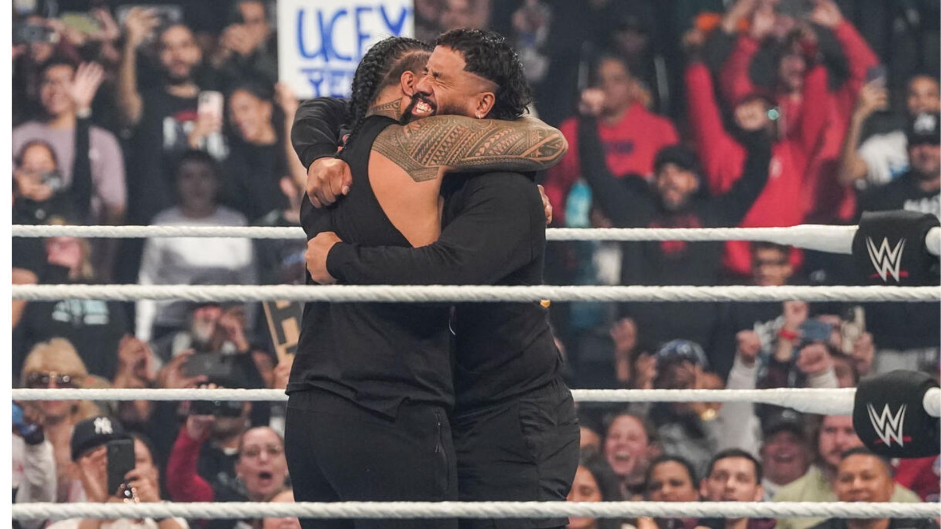 (Image credits - WWE