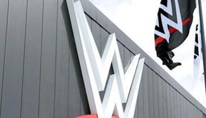 WWE में पूर्व स्टार की शायद कभी नहीं होगी वापसी, दिया चौंकाने वाला बयान