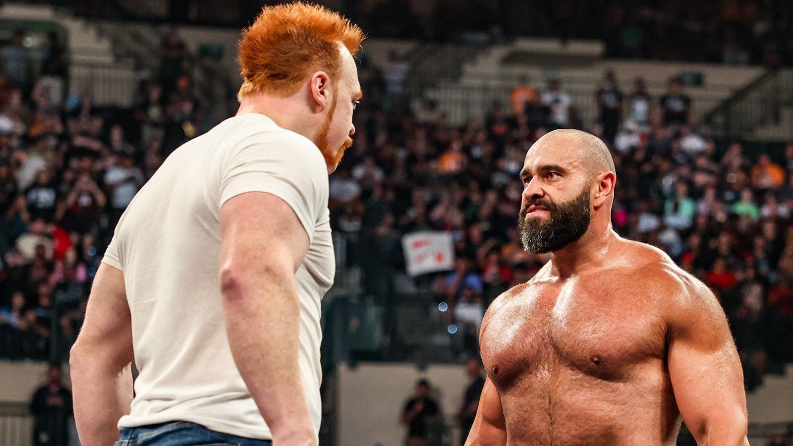 Rusev and Sheamus have history (Image via WWE.com)