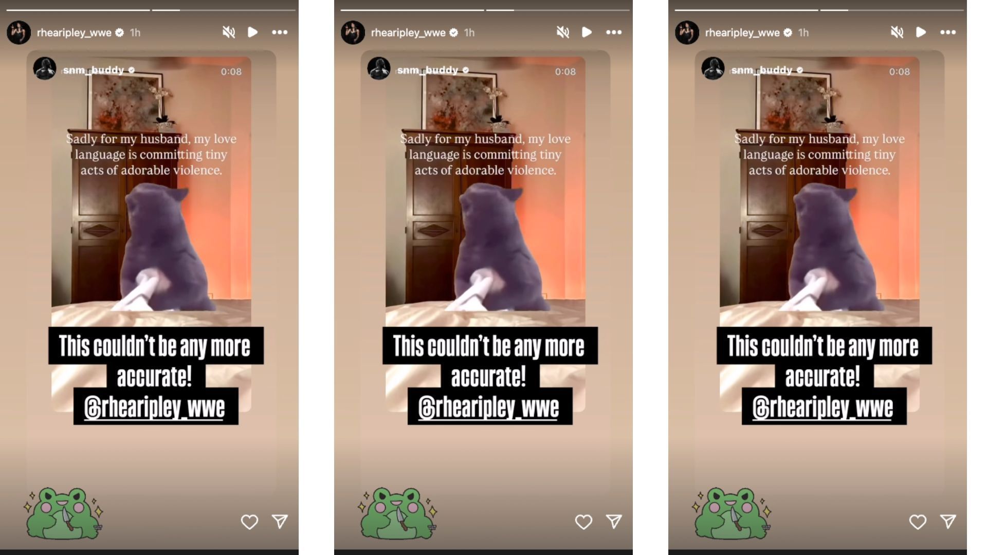Ripley hilariously reacts to her husband&#039;s message on social media. [Image credit: Rhea Ripley&#039;s Instagram story]