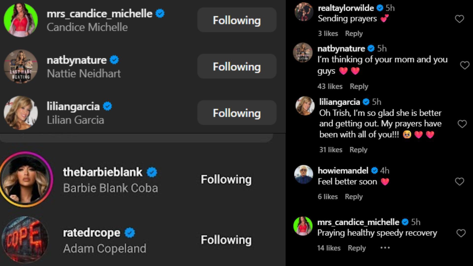 Screenshots of stars&#039; likes and comments [Image credits: Trish Stratus&#039; Instagram]