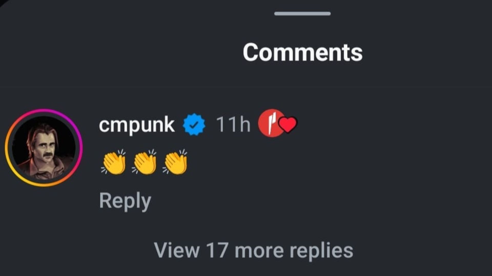 Screengrab of Punk&#039;s comment on Instagram