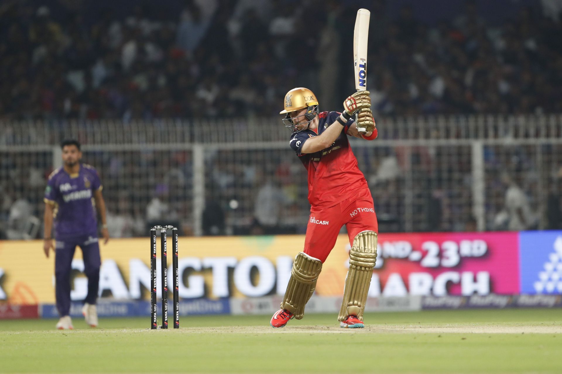 Phil Salt has impressed as an opener for RCB in IPL 2025. [P/C: Getty]
