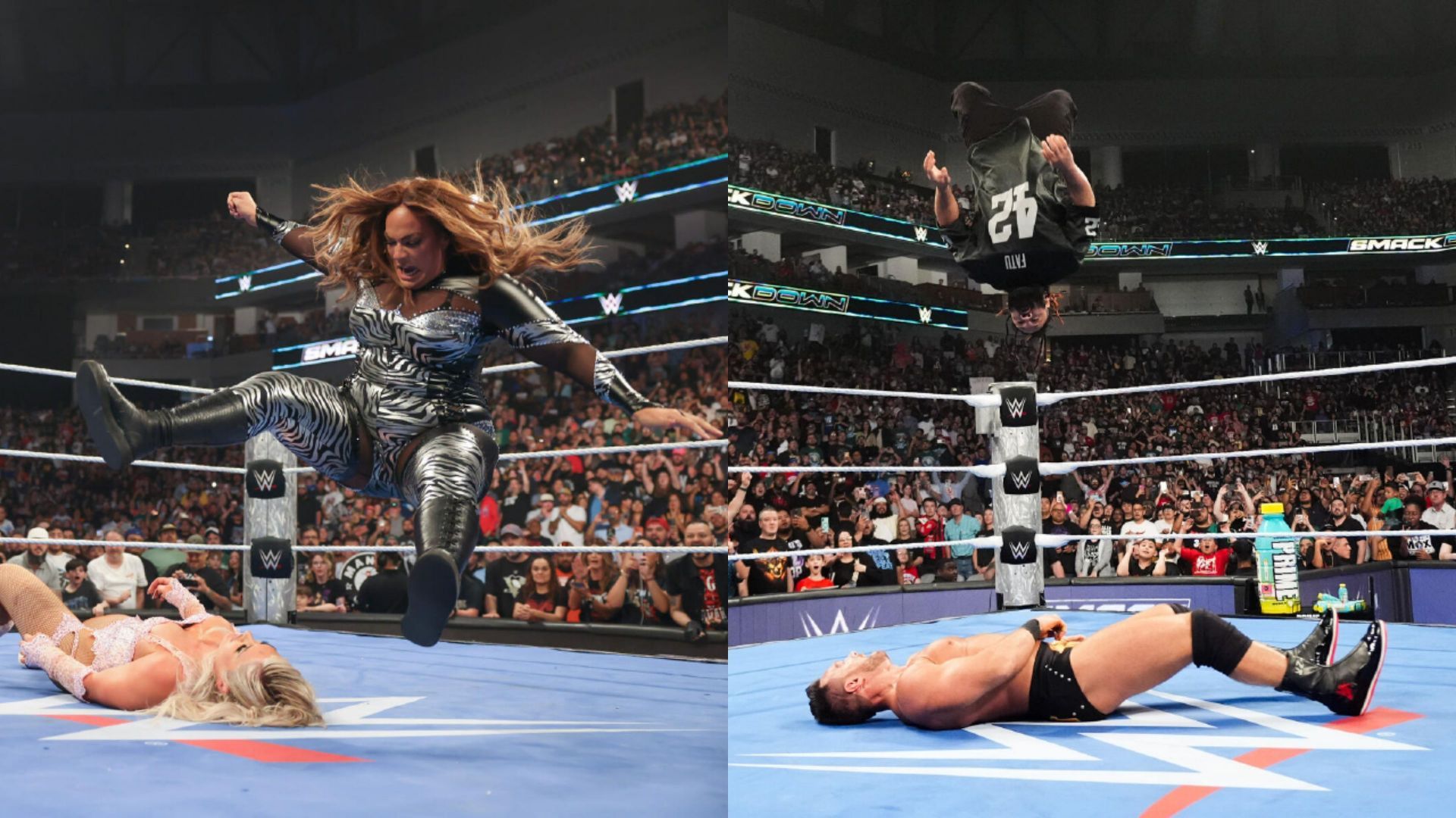 Jacob Fatu, Nia Jax, Tiffany Stratton, LA Knight, WWE
