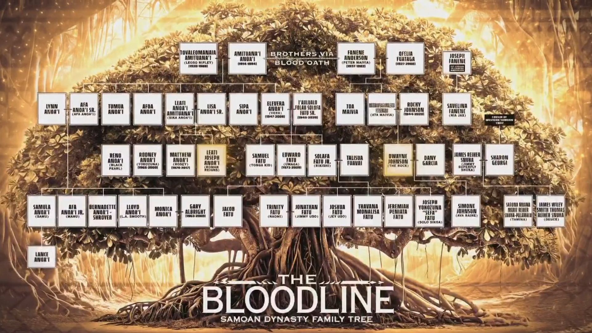 The Bloodline tree from The Rock