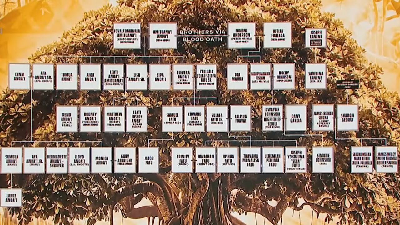 The Bloodline family tree (via WWE