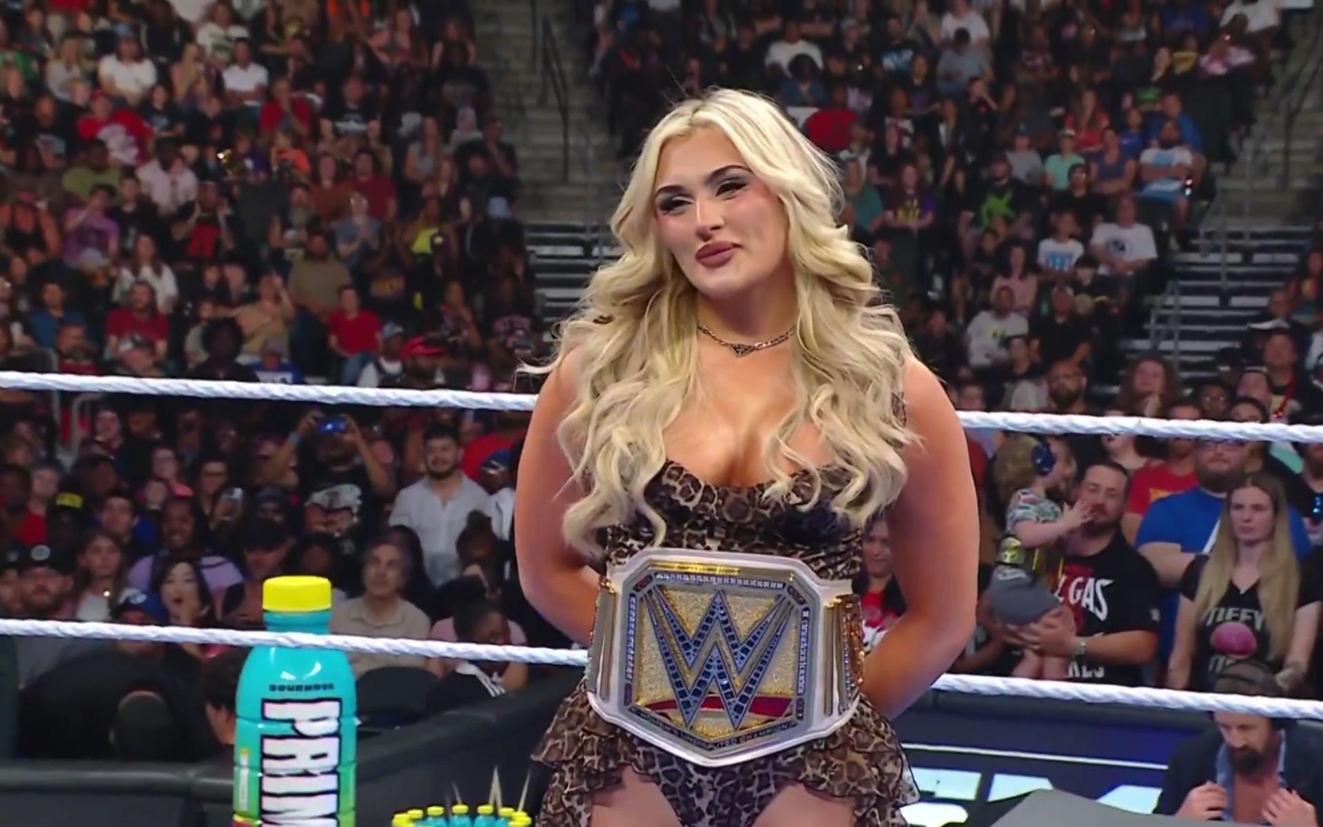 (Picture Courtesy: WWE on Netflix)
