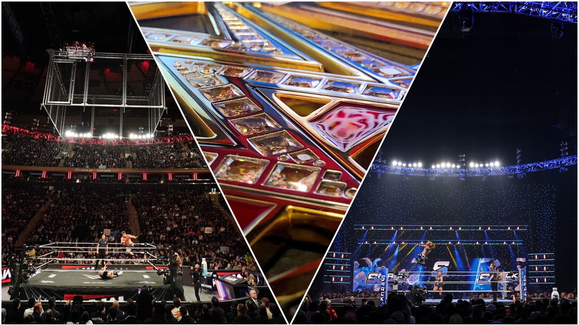 WWE Superstars on RAW and SmackDown, WWE championship on display