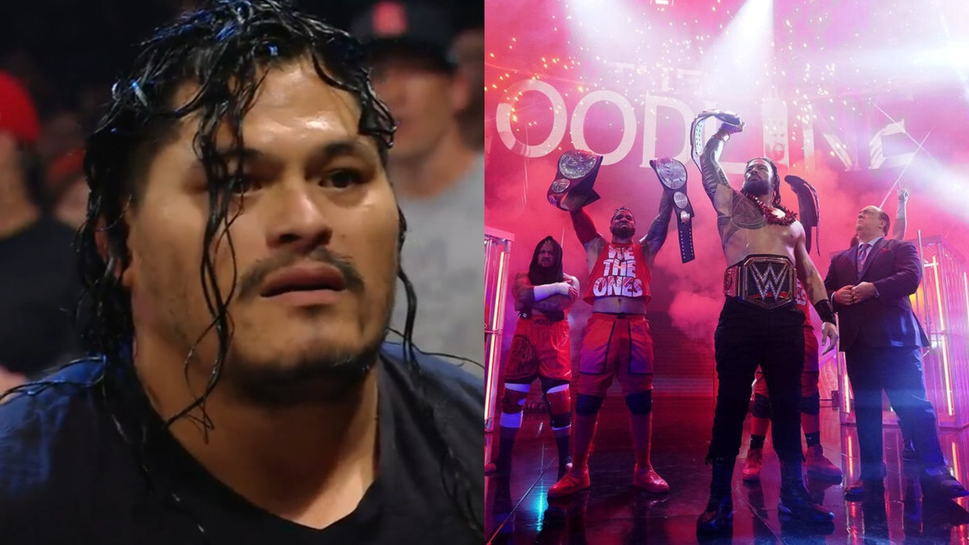 The newest member of WWE